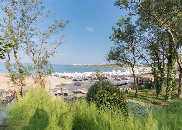 Oasis & Cozy Апартамент *